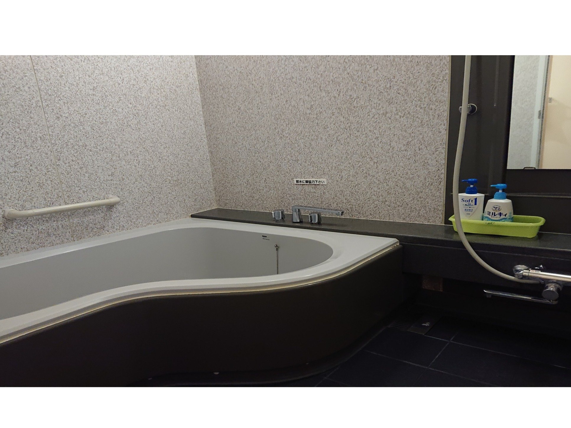 �傫�߂̂����C���l�C�I