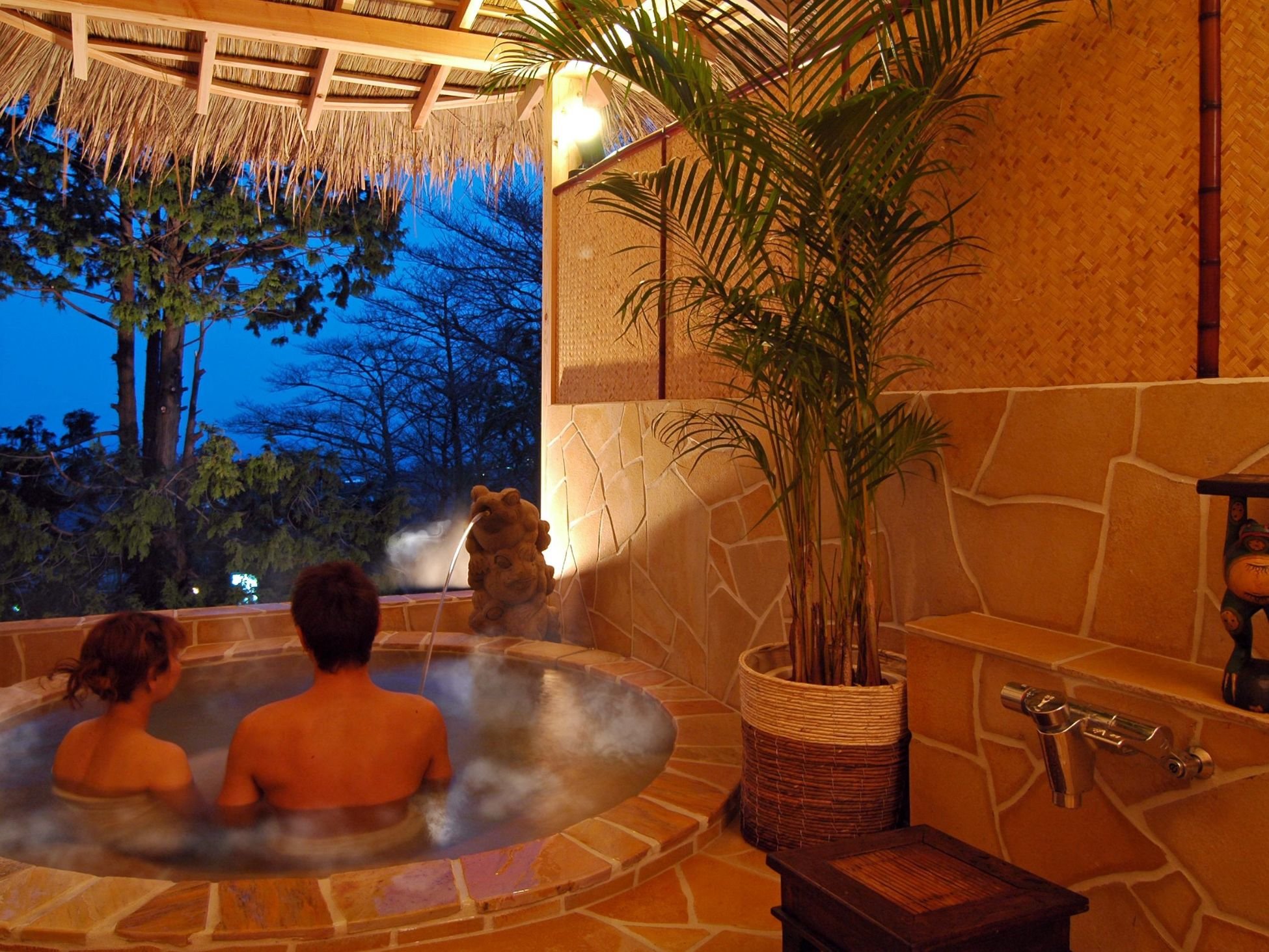 �V��R�n�A���J���P������̑ݐؘI�V���C���v���C�x�[�g�T�E�i