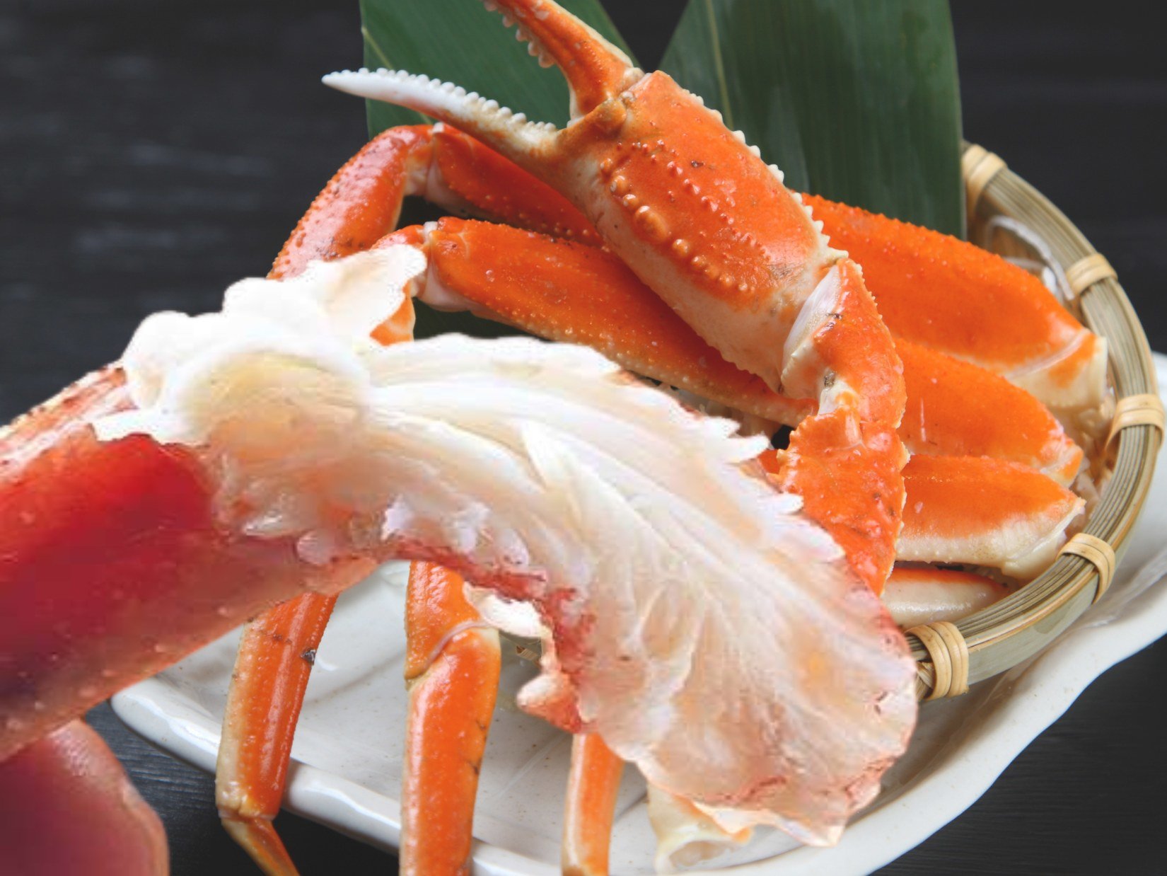 �g����������Ƌl�܂����AL�T�C�Y�̕l��ŃY���C�I�b�N�`�R�~4.8���肪�Ƃ��������܂�