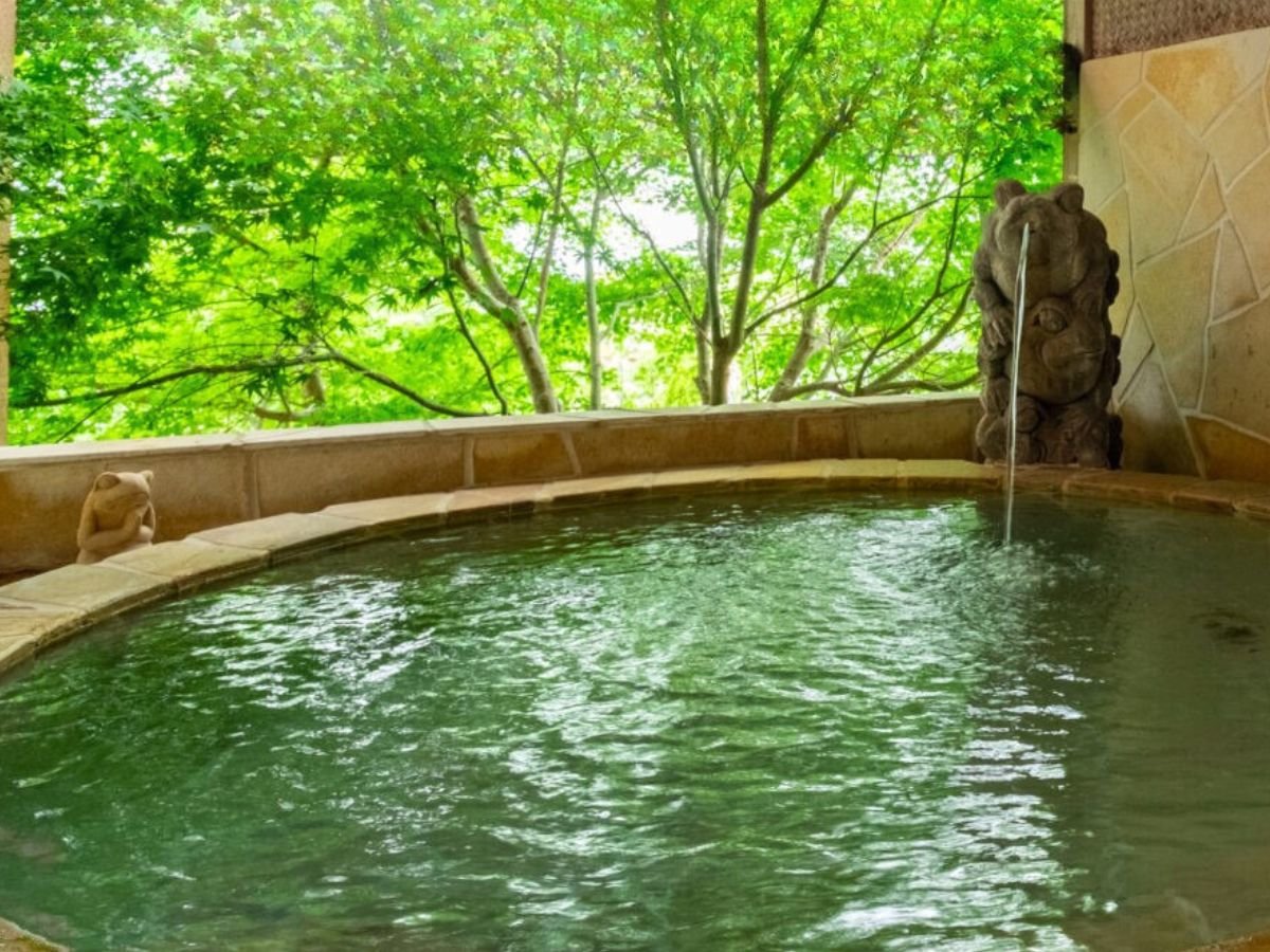 �[���̑ݐؘI�V���C���T�E�i�A������Ɖ���̂ʂ����肪�S�n�悢�B