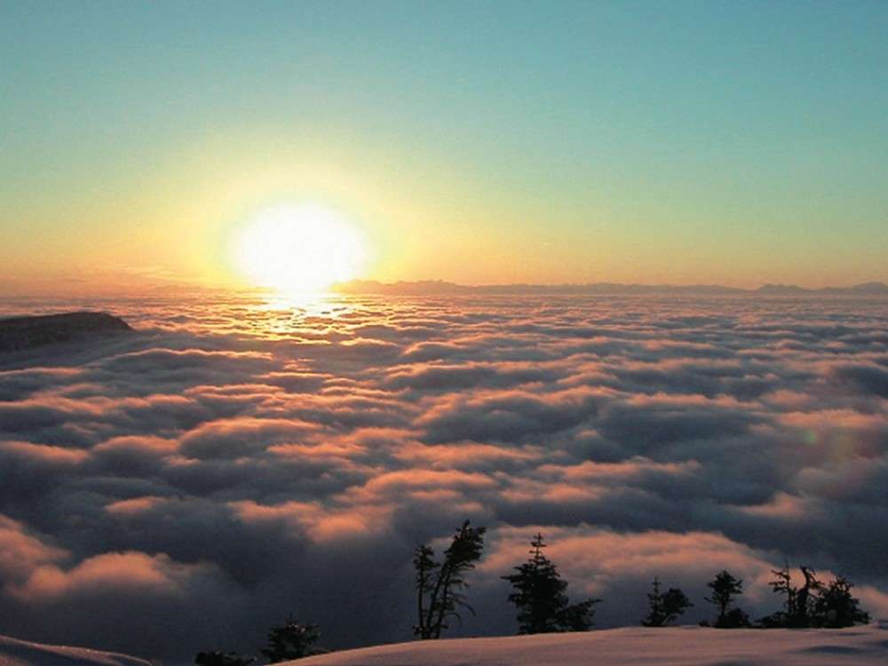 ����R�@���V�r���[�e���X����]�މ_�C