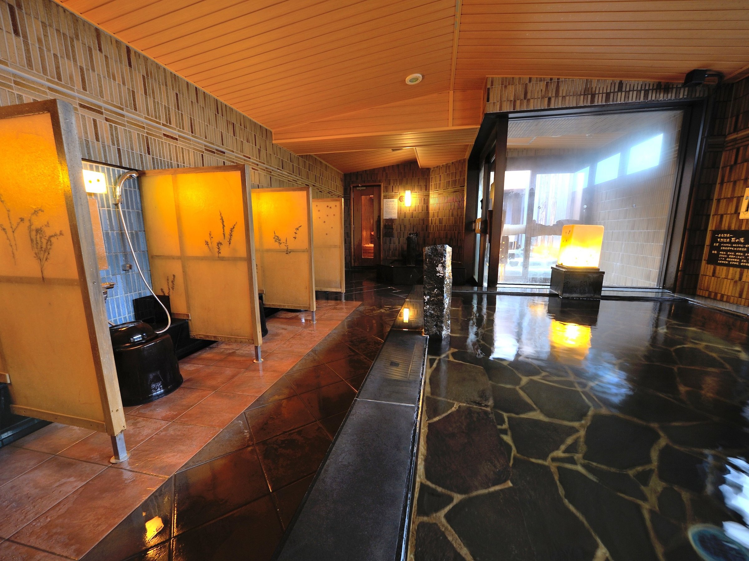 �������嗁��@�����w���̓��x