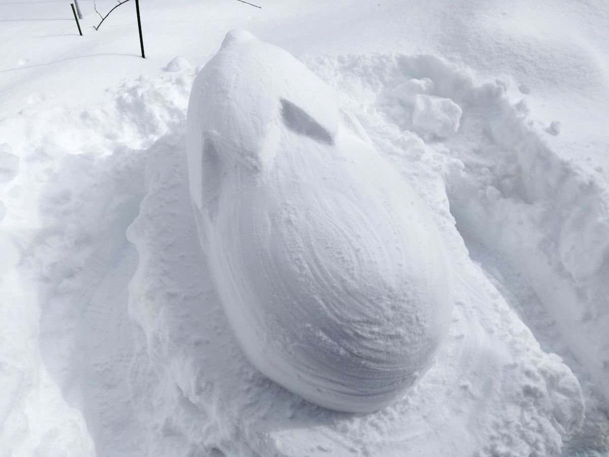 �~�͂���Őᑜ����邱�Ƃ��o���܂��B