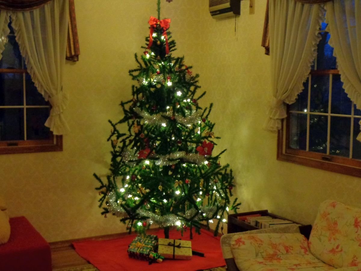 ���E���W�ɂ͂Q�����z����N���X�}�X�c���[�������Ă��܂��B