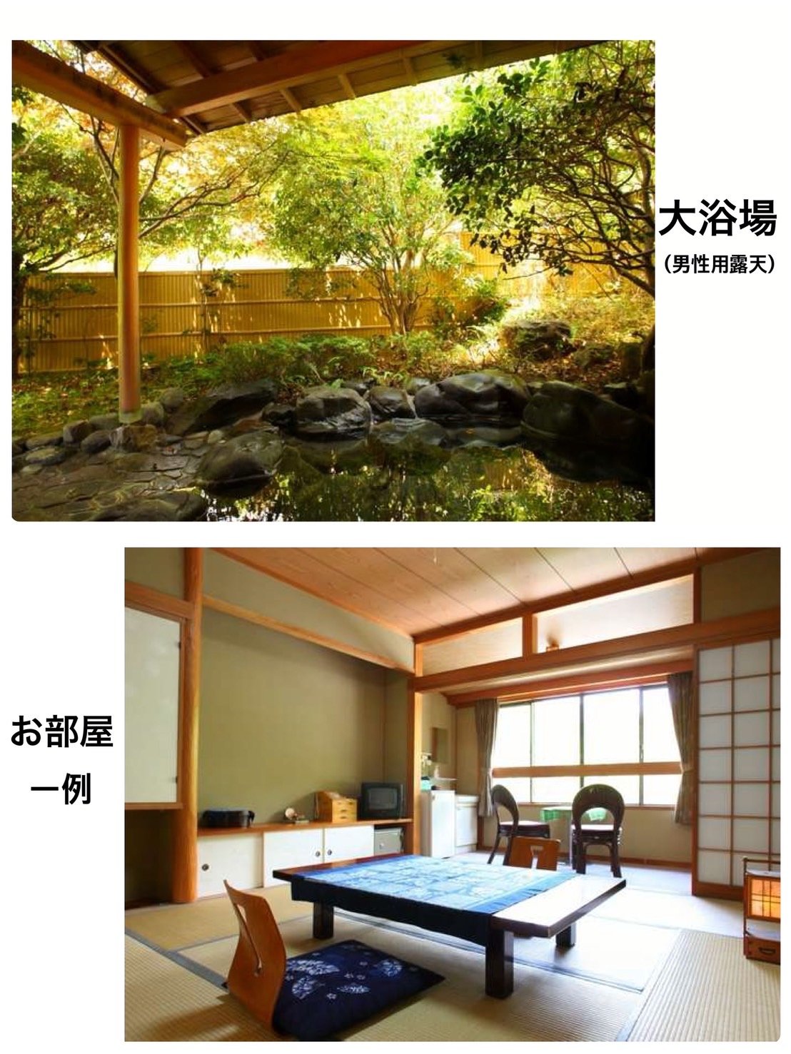 �����܂�ɂȂ邨�����Ǝ��R�L���ȑ嗁��I�V���C