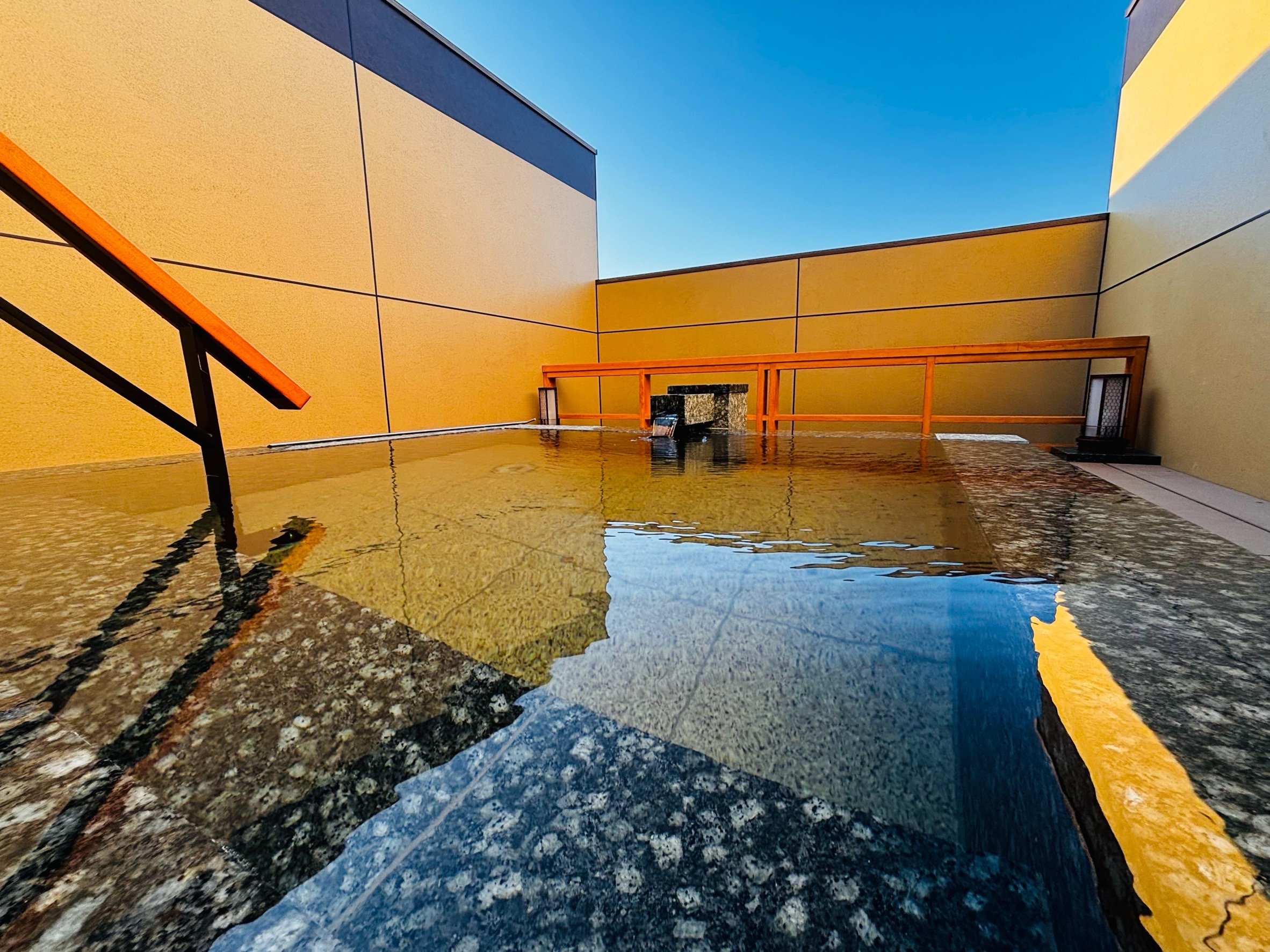 2025�N���j���[�A�����W�]�ݐؘI�V���C�A