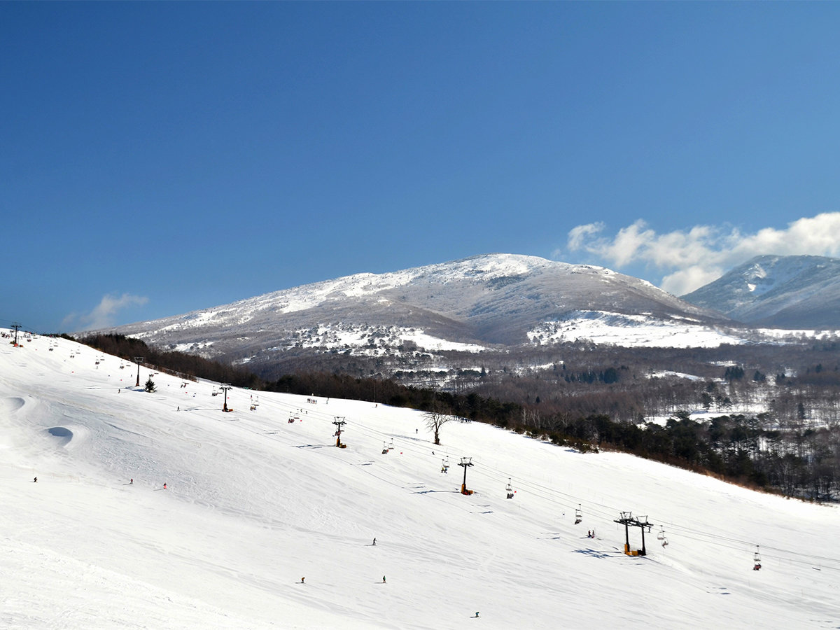 **���������\�_�{�X�Q�����f/�����ň�ԑ傫�ȃG���A�I�ɂ₩�ȃX�����[���R�[�X�������I