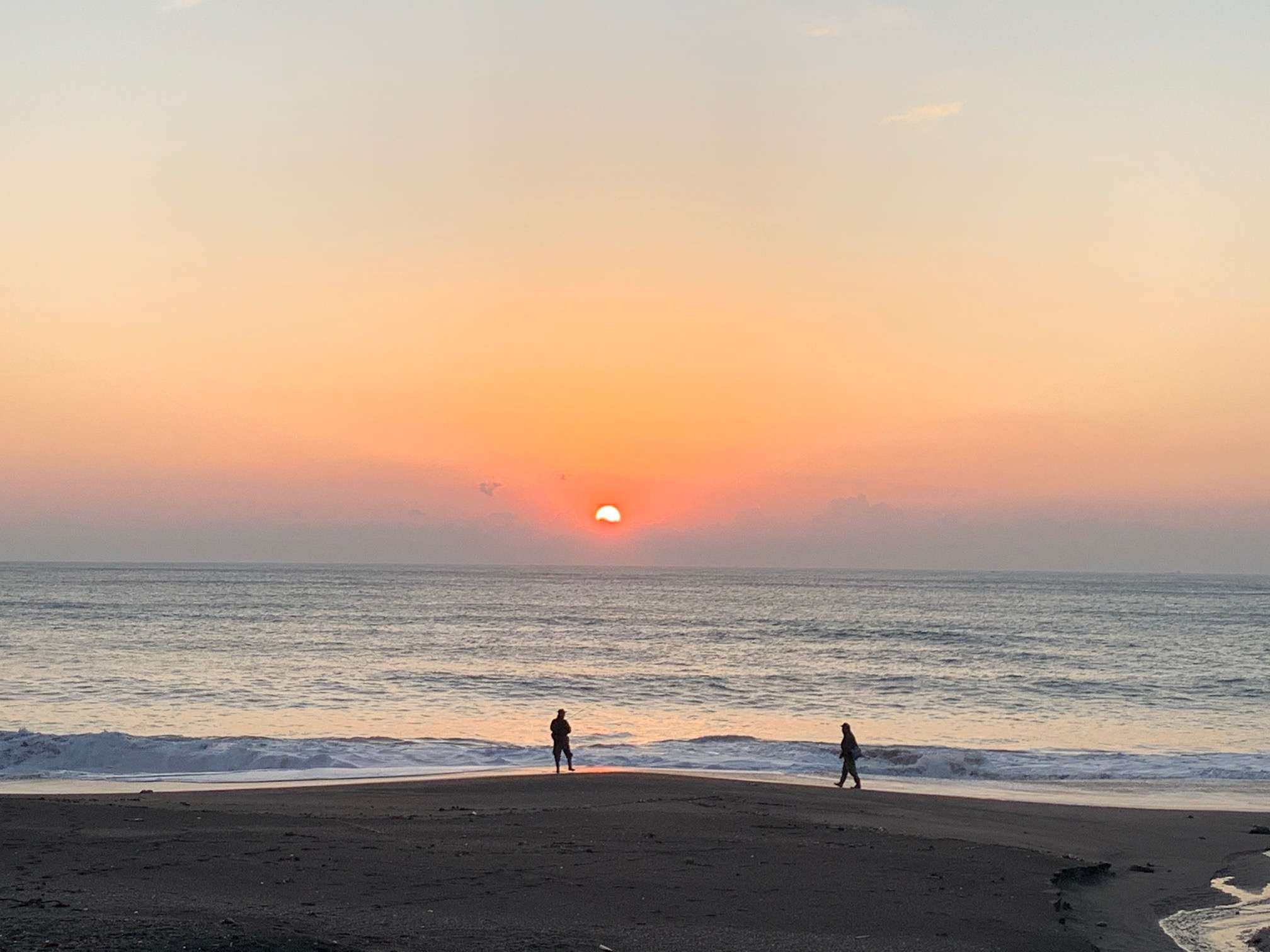 �����������������̏o�B������葁�N�����ĕl�ӂ̎U�������Ă݂ẮB