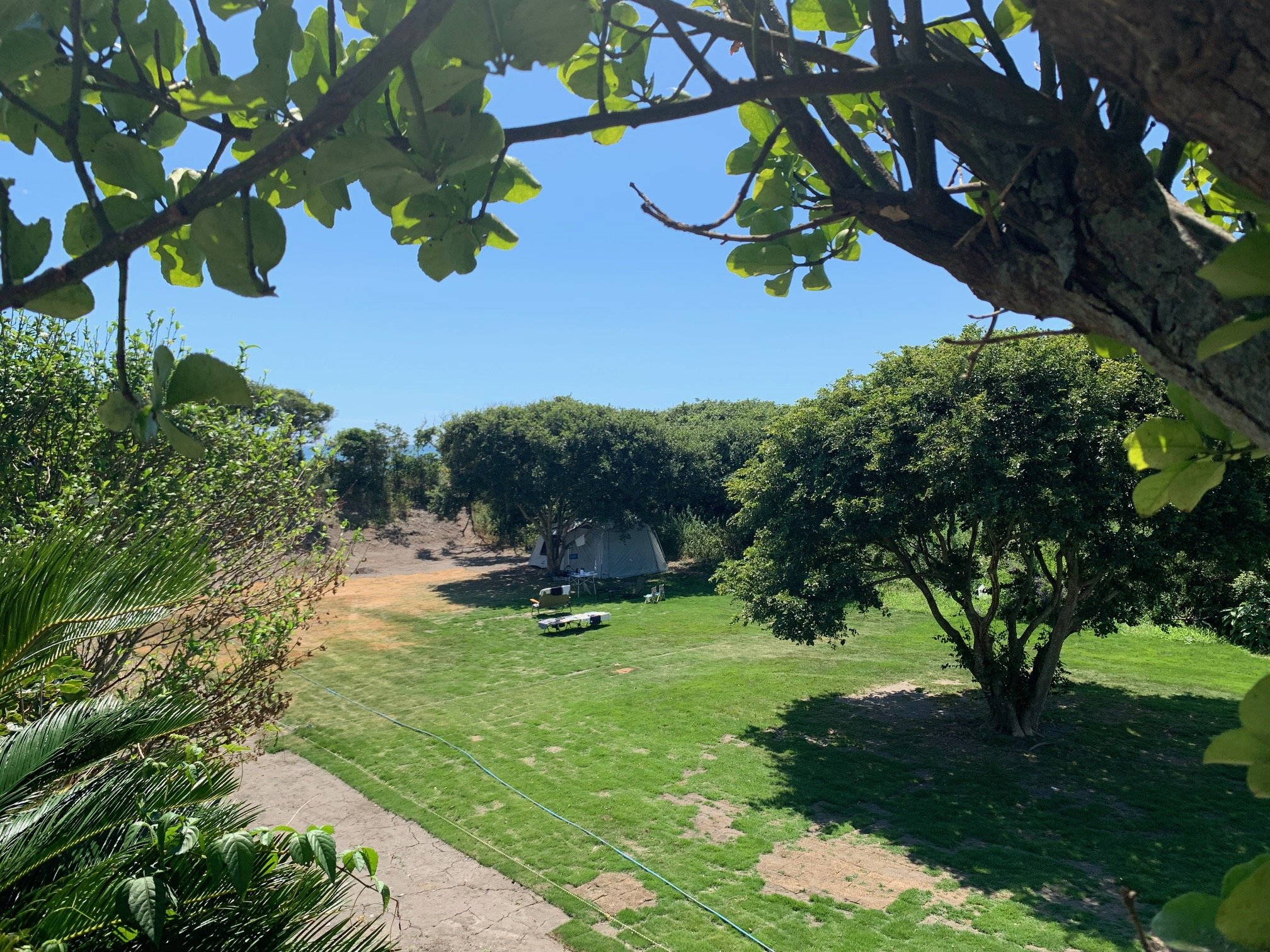 �h�����쑤�ɂ�BBQ��Camp�����ł���C�ɂȂ���Ő���Campfield�A�A�E�g�h�A�D���̕��ɂ��X�X���B