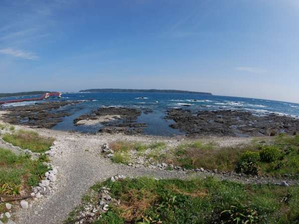 �_�C�r���O�p�[�N�O�̃r�[�`�ł��I