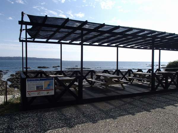 �C���e���X�ȁ�o�[�x�L���[��������A�C�𒭂߂���E�E�E