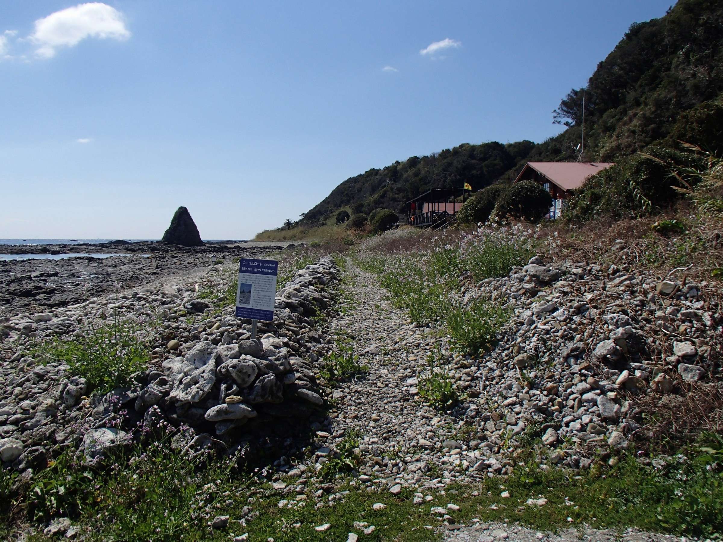 �T���S���[�h���U�􂵂Ă݂Ă�I�I