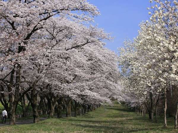 �y��{���z��N�������4��10���O��ł��I�i�����͓V��ȂǂőO�サ�܂��j