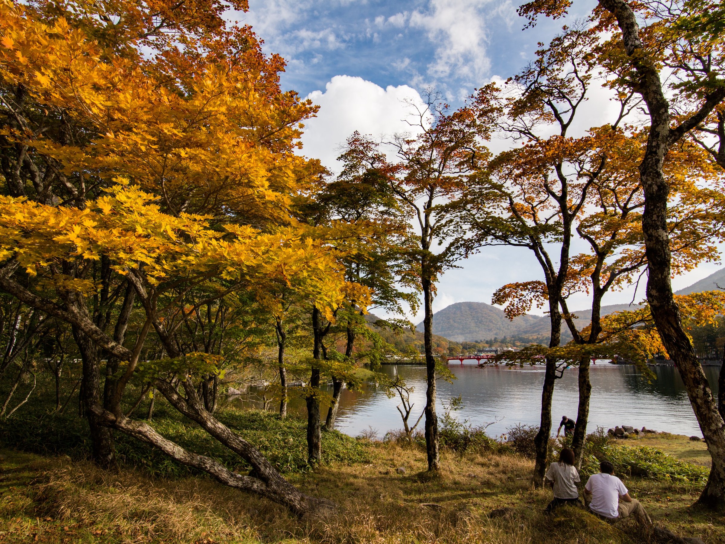【紅葉】赤城山(見ごろは10月下旬から11月中旬頃となります。天候などで前後します。)