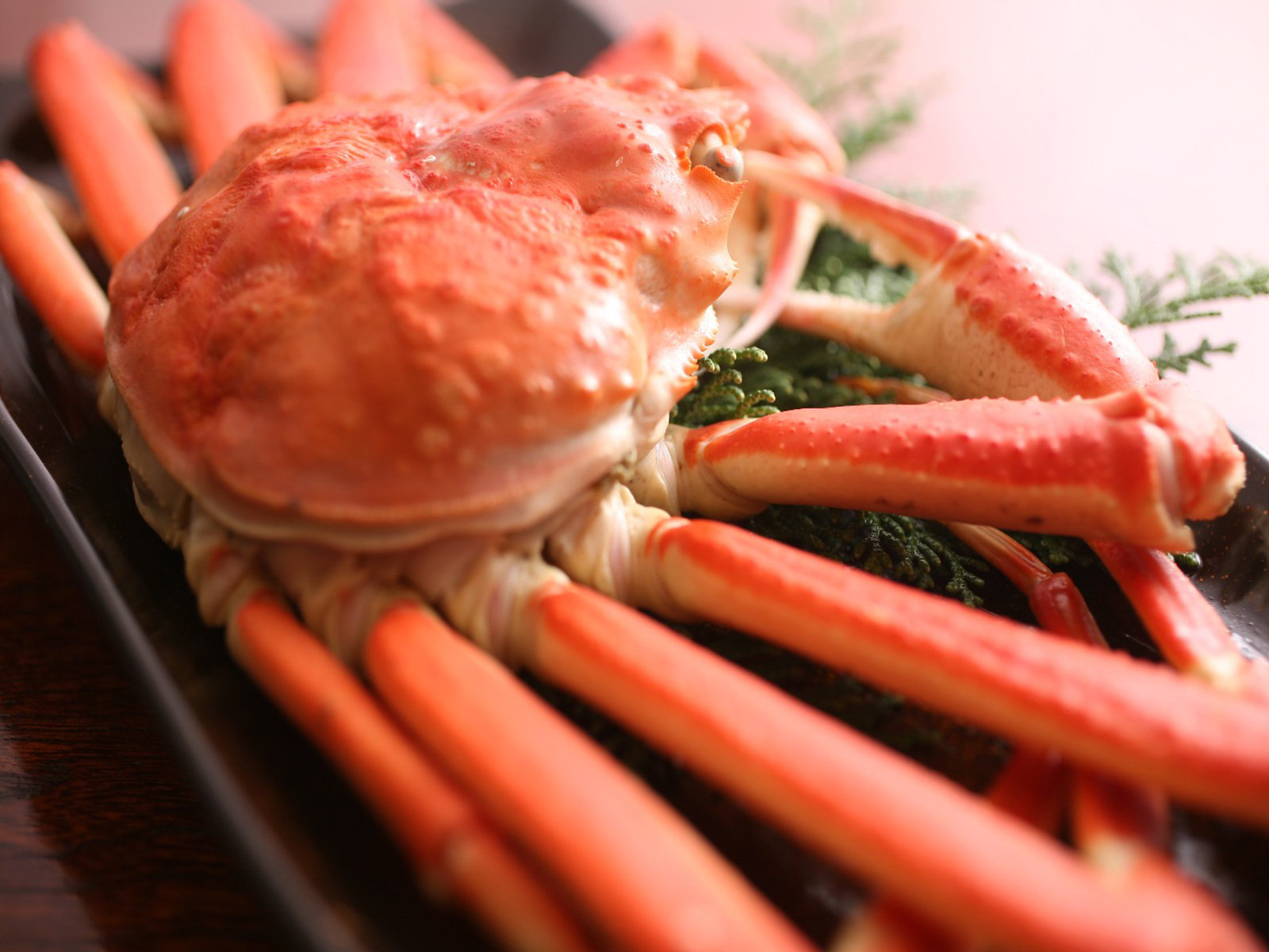 䥂ŃK�j�p��C�̗�