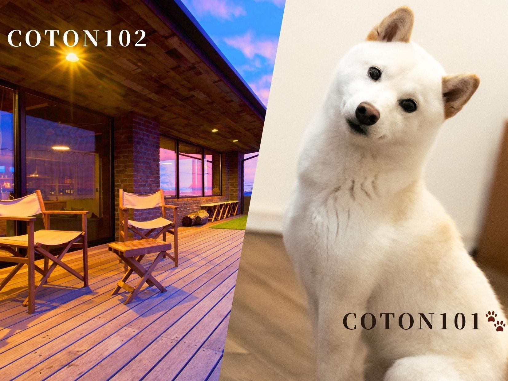 COTON�̂������͂Q�^�C�v��f�b�L�̂���102�A�y�b�g��101�I