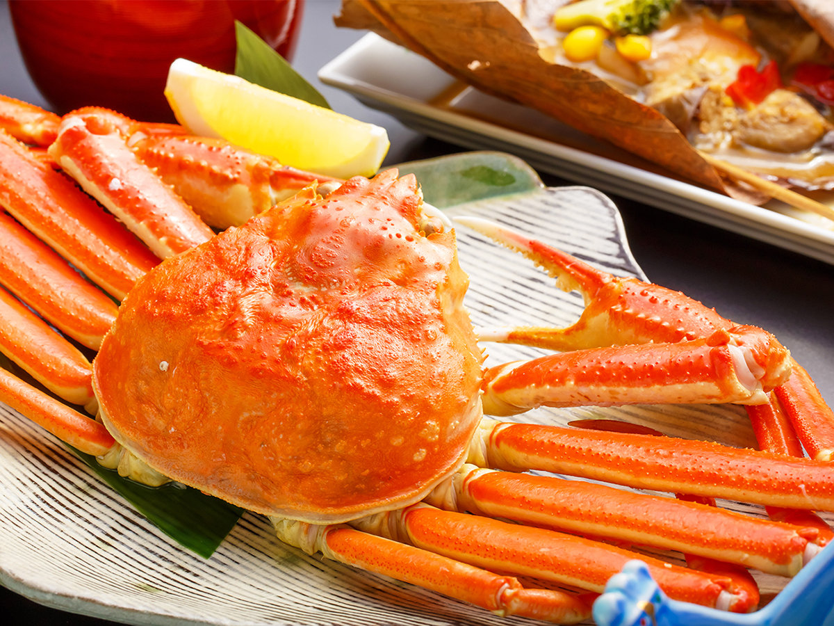 䥂ŊI�p����@��1�l�l�ۂ���1�t�g�p