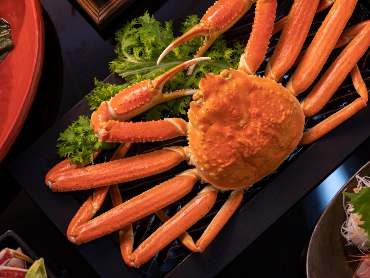 y[H/~zJj{̖yށIllۂƈt̃{CKj/