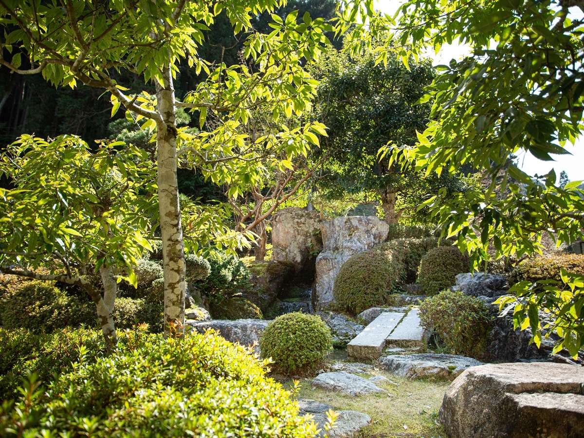 *�����끡���X�̌����𗣂�Ă������؍݁B