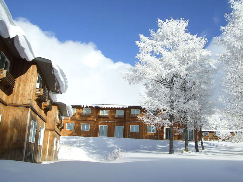 *yOρF~zƐ̃RgXgB~Ȃł͂̔B