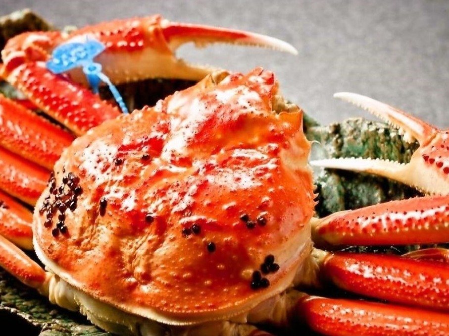 �y���t�I�z