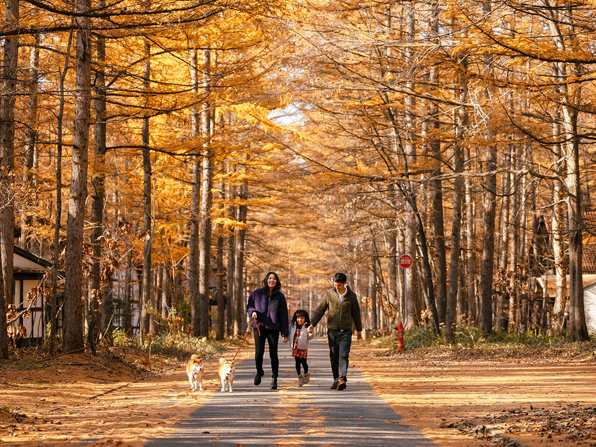 �}�C�i�X�C�I�������Ղ�B�Έ���X�ŉ߂������̎��ԁB�Ђ������G�]���X������o�����Ƃ��B