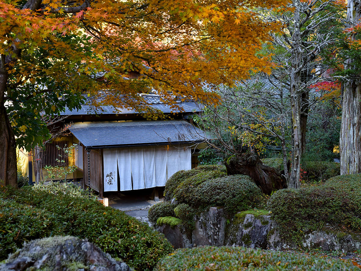 *�y�g�t�z�V����Ɩ؁X���F�߂�