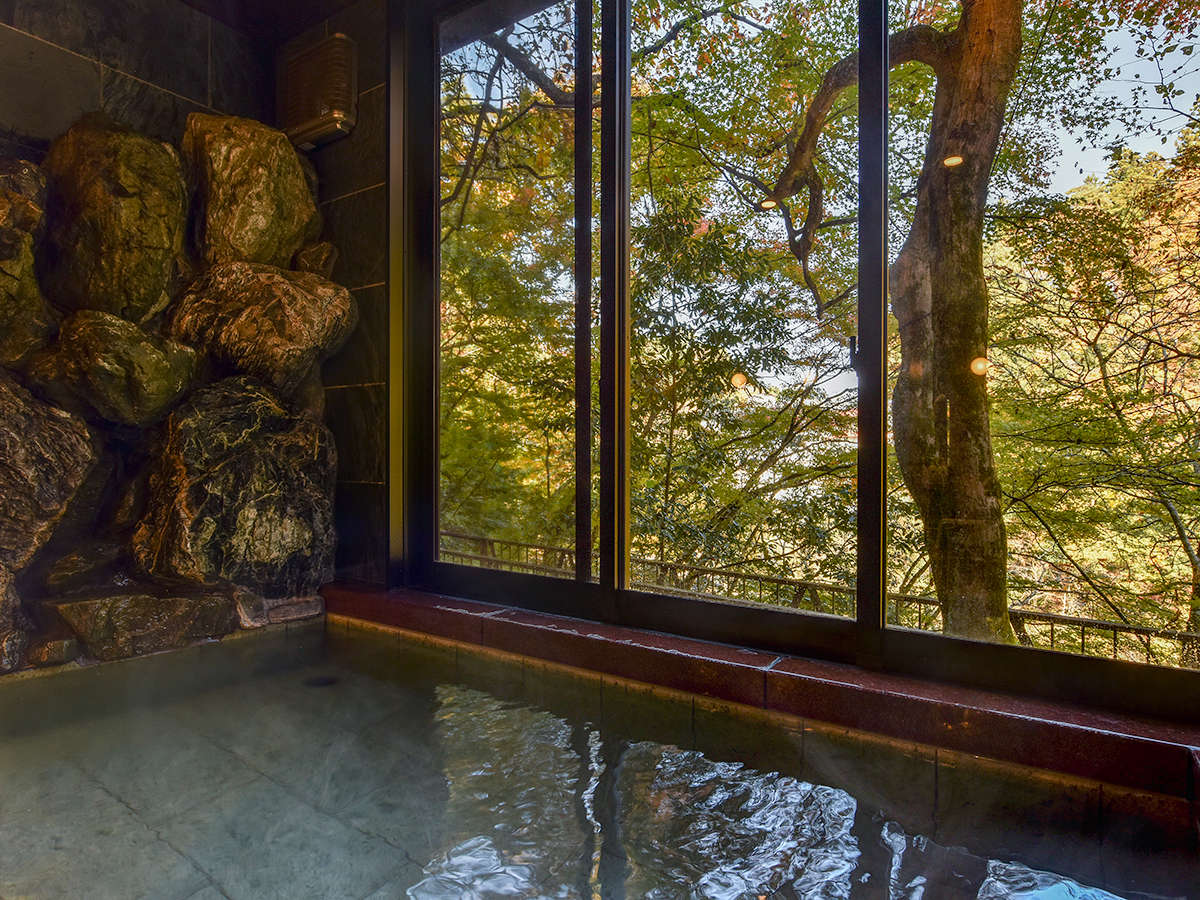 *�y�g�t�z�k�J���ɕ�܂�鉷�򗁏�