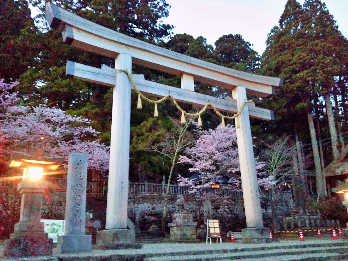 �ˉB�_�Ђ̏���