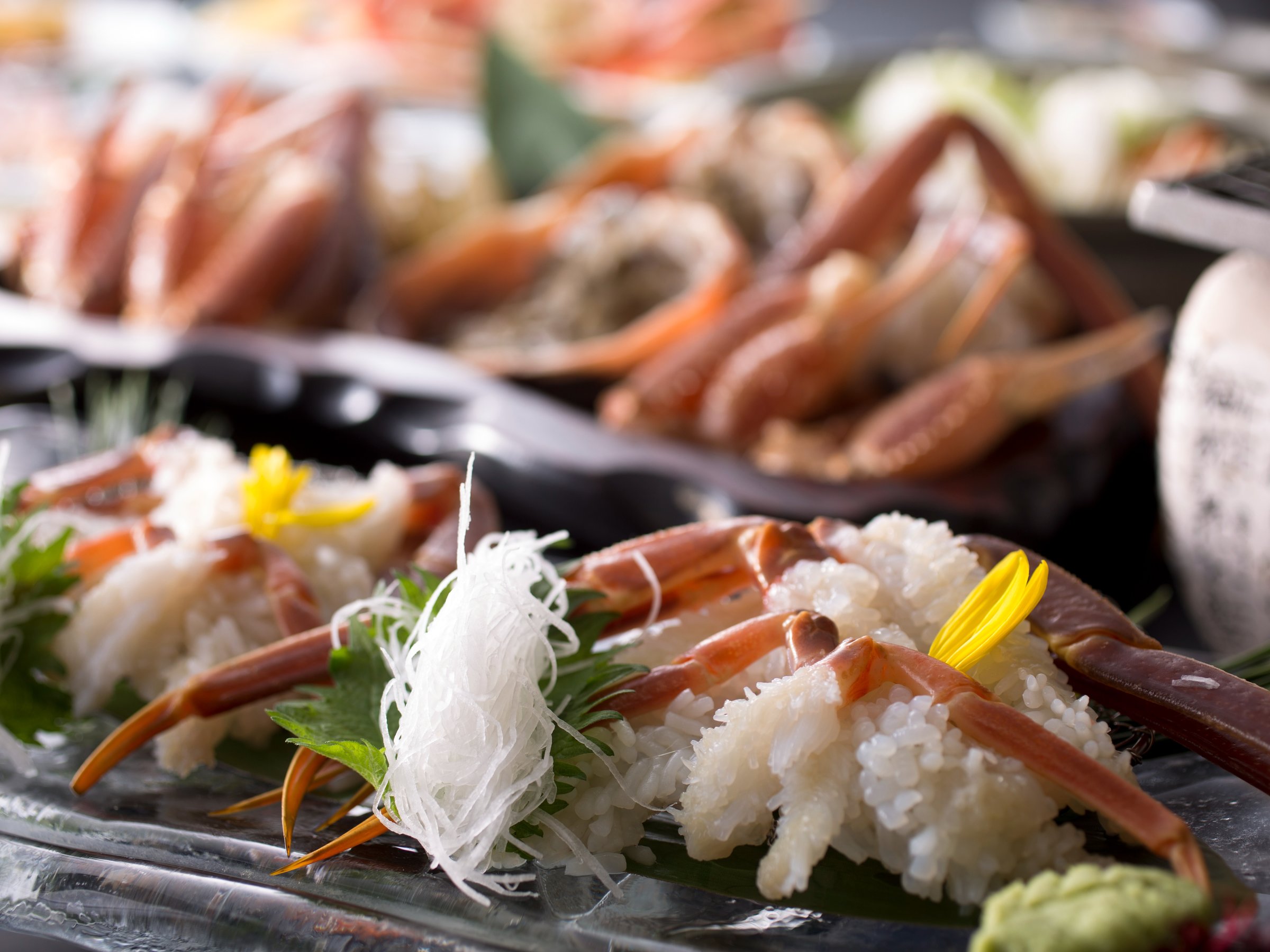 yKjÂE1tz{CE~̖ỏlłutKjvŊIÂij