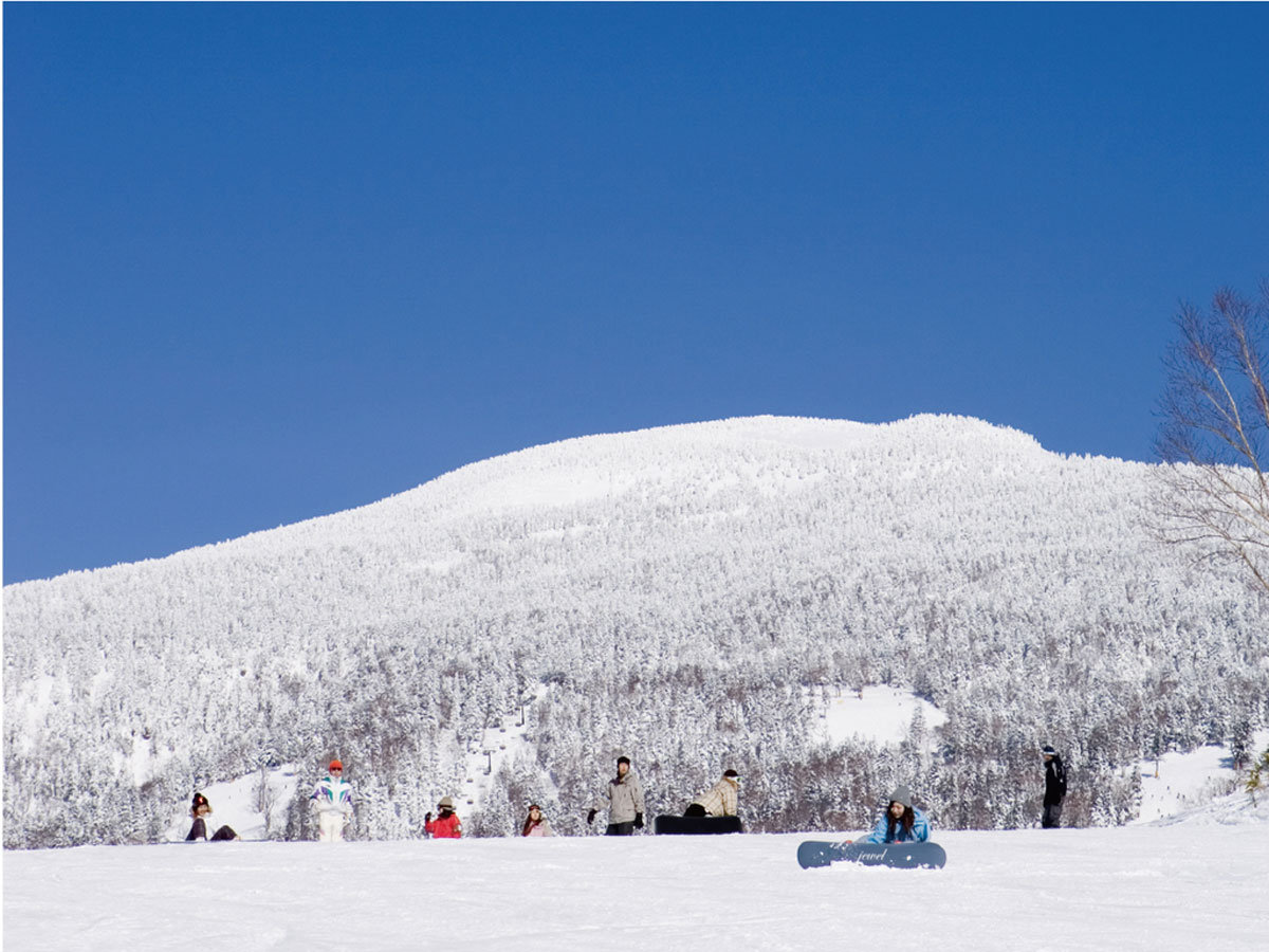 ǎȐႪςIS҂t@~[喞OfRXm[][giC[Wj