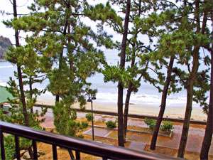 ������͗R�ǊC�݂��􂨕������猩����I�[�V�����r���[�ƒ����ɐS������Ă��������B