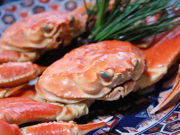 łɁHׂȂ炨Aɕ֗IyY܂BʒB