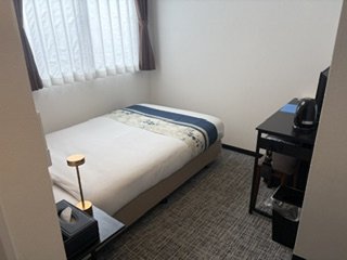 �V���O�����[��