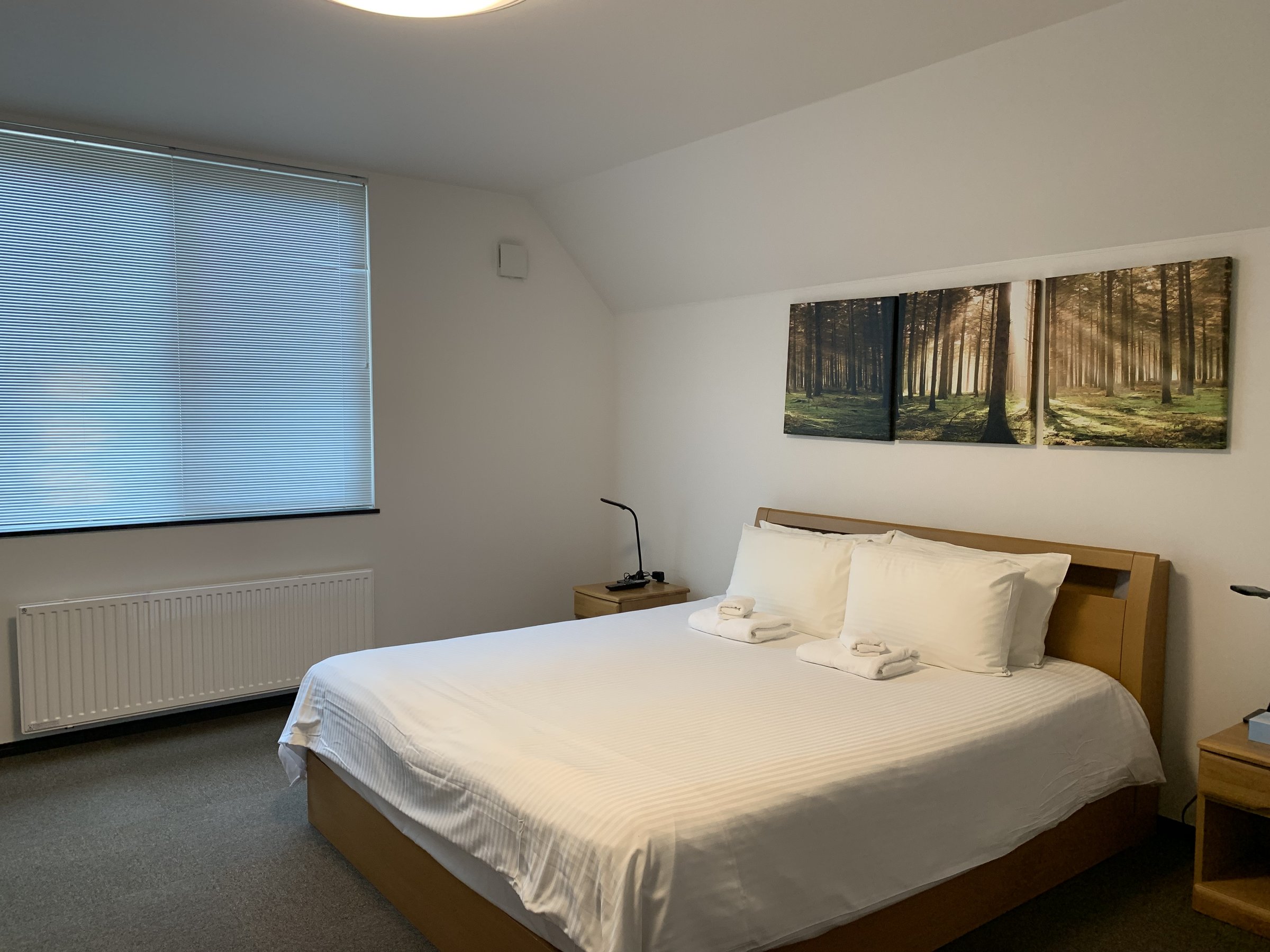 �x�b�h���[��