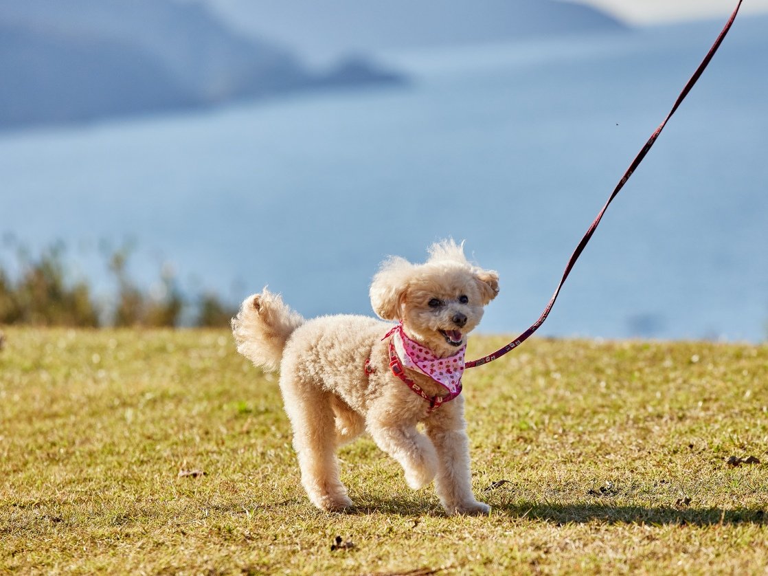 ƈꏏɔ܂邨܂C]ދułU