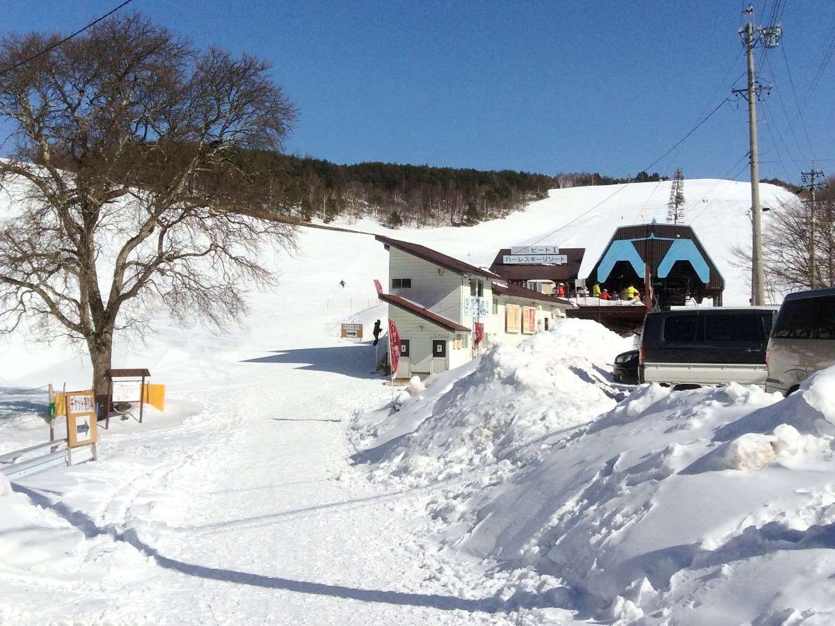 ���ق̓Q�����f�ڂ̑O�I�_�{�X�G���A�u�r�[�g���t�g�v���܂œk���O����