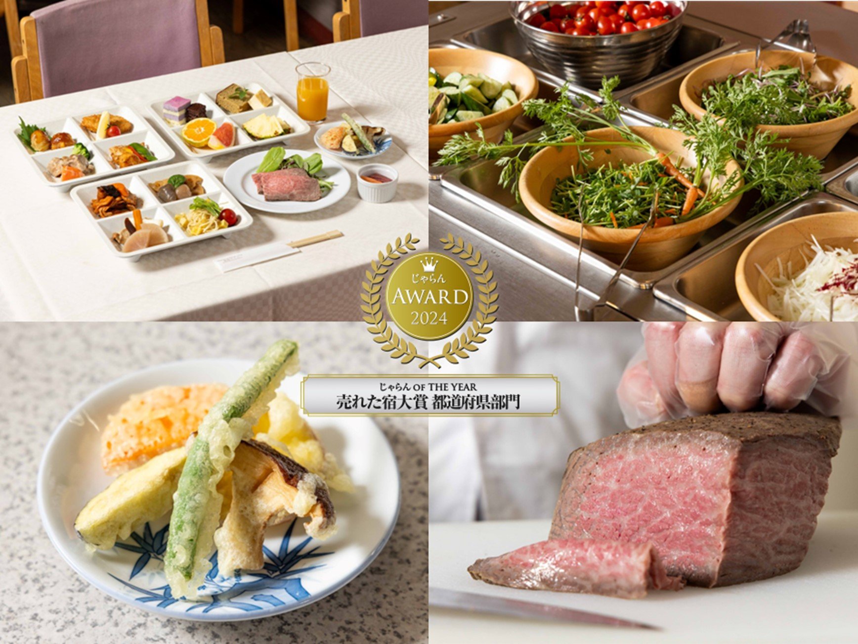 A[h2024@ꂽh܁@s{i51~100j2