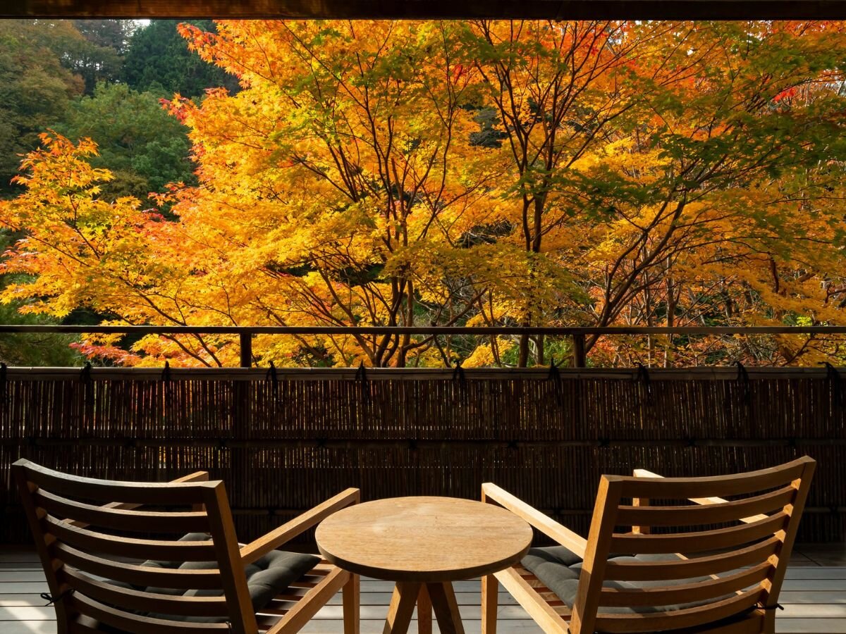 yWpj[YXC[gzgt𒭂߂ȂґȂЂƂƂB