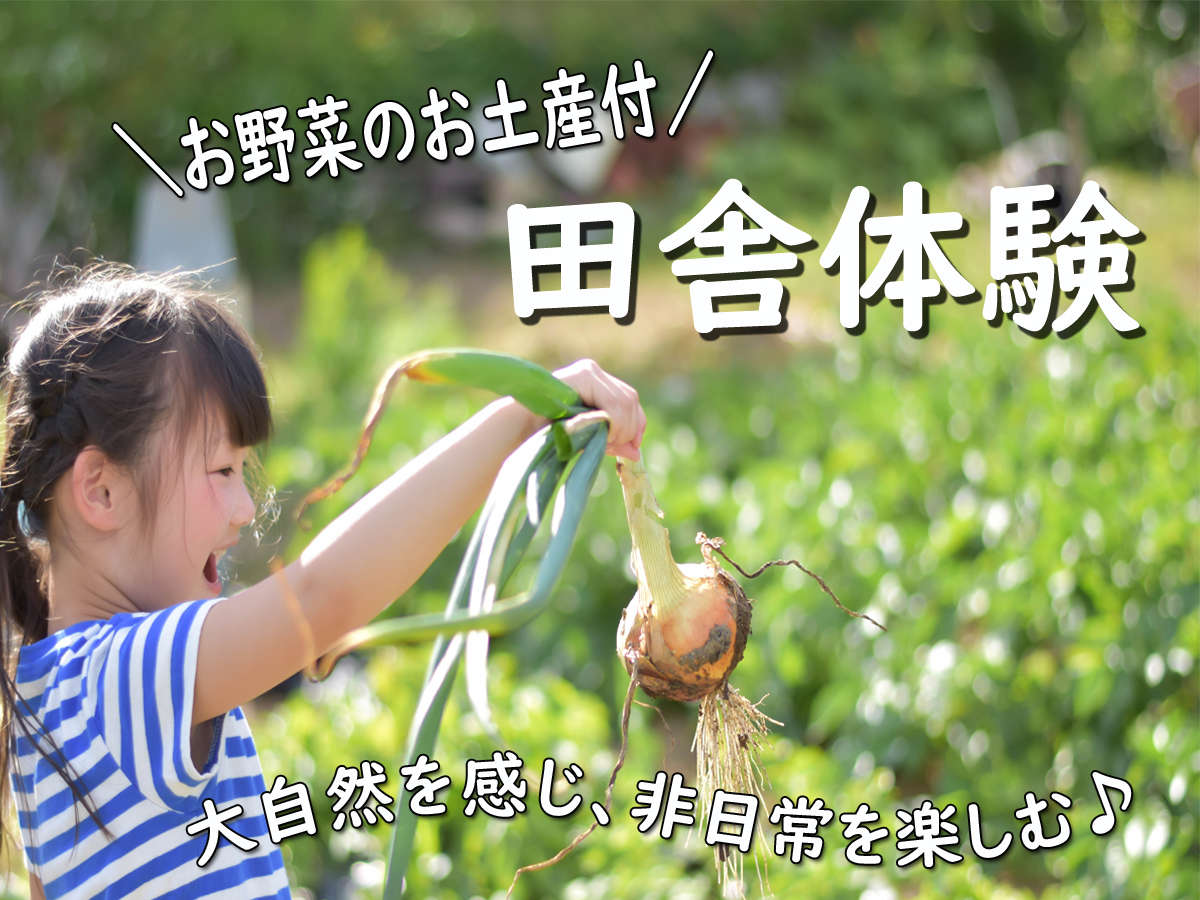 cɑ̌₨yYt@C[W