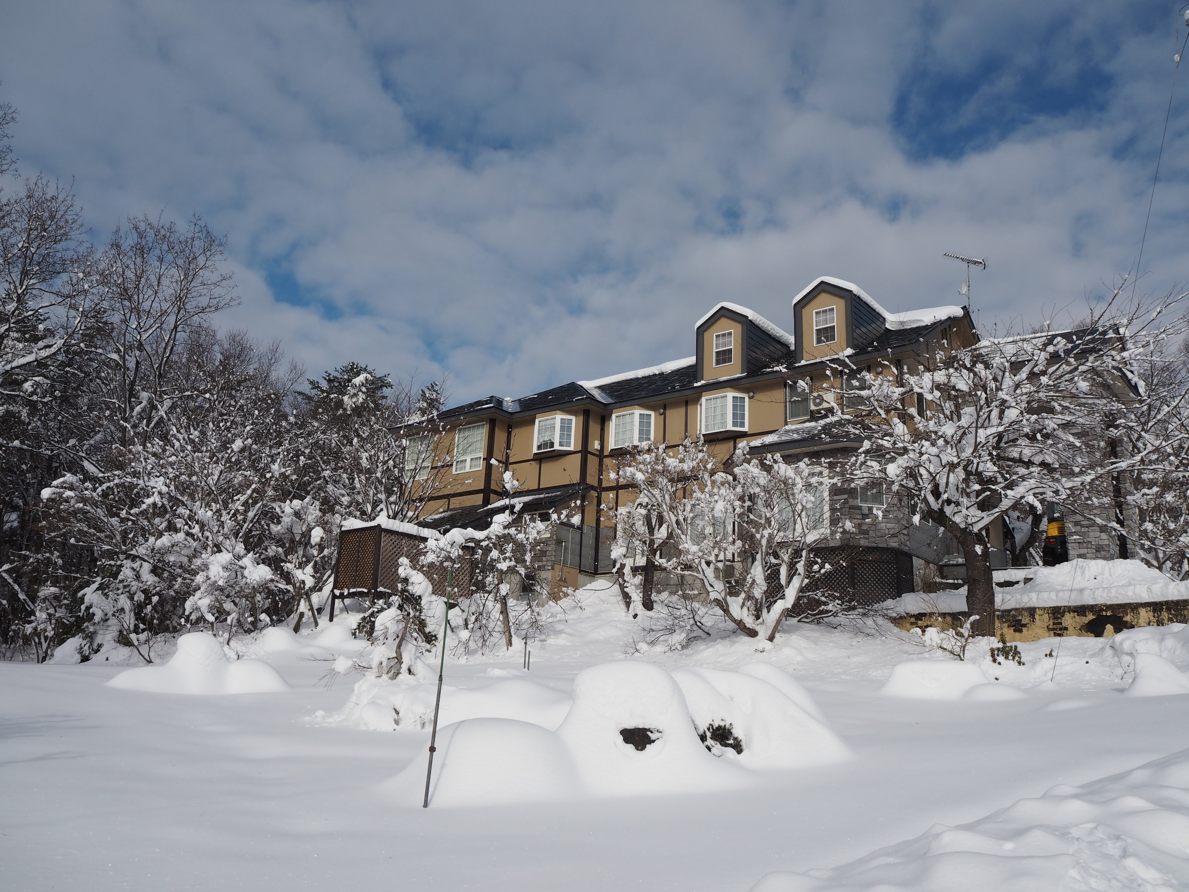 ��i�F���}���Ă����A�~�����̓��ʂȎ���