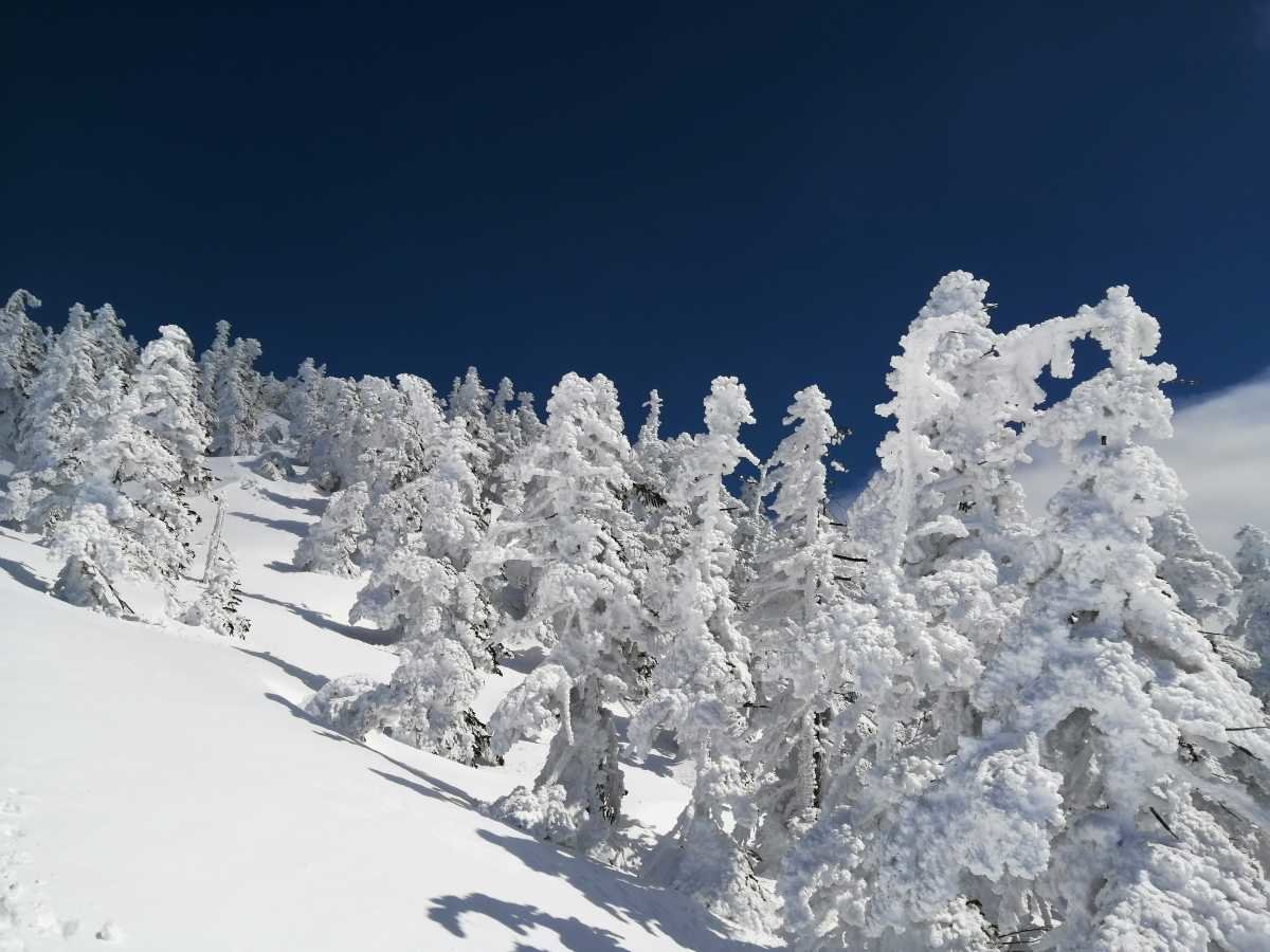 ����ځ@�X�m�[�����X�^�[�@���X