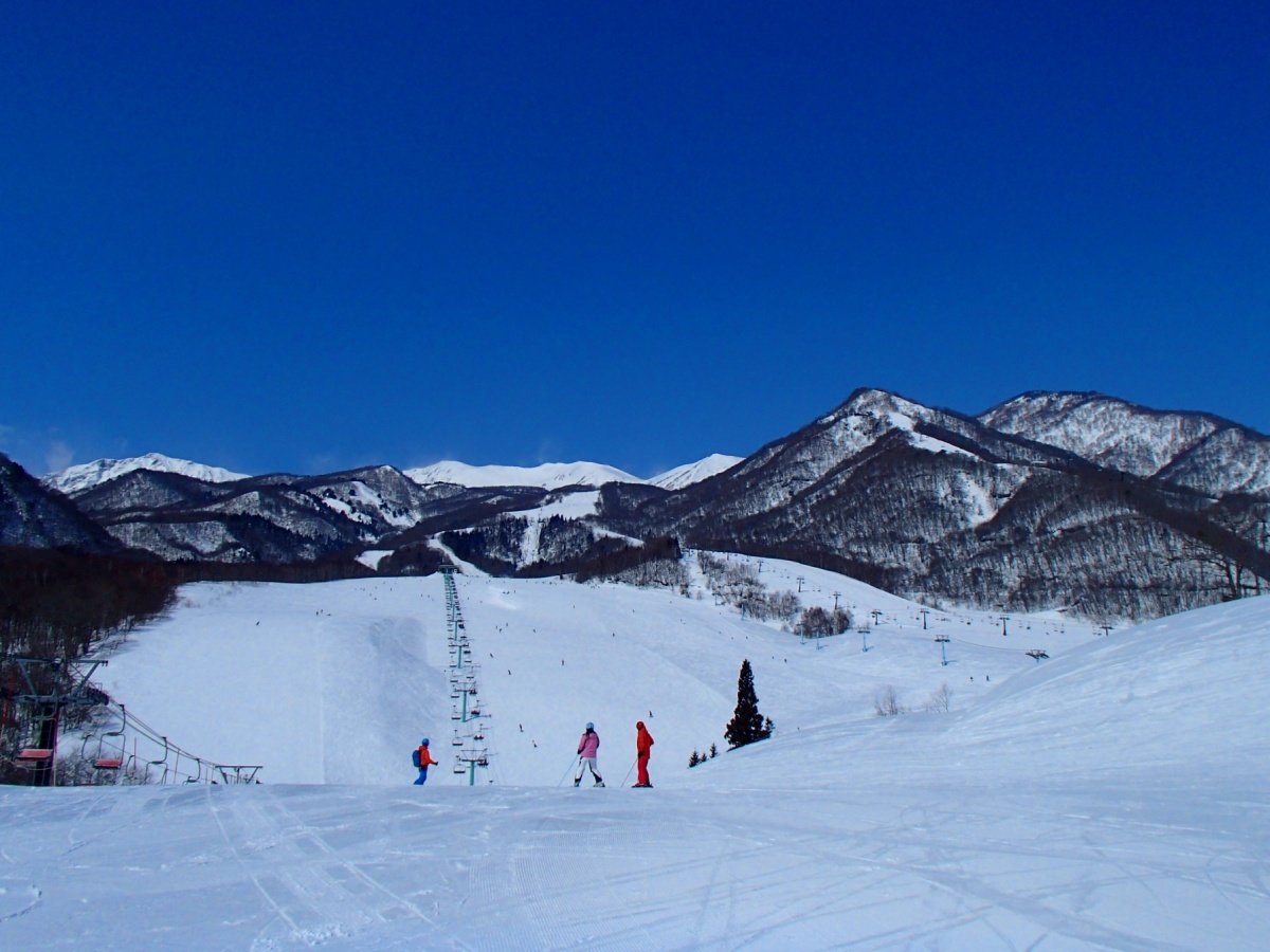 �z�e���ڂ̑O�́A�L��ȃt�B�[���h���l�C�̒̒r�����X�L�[���