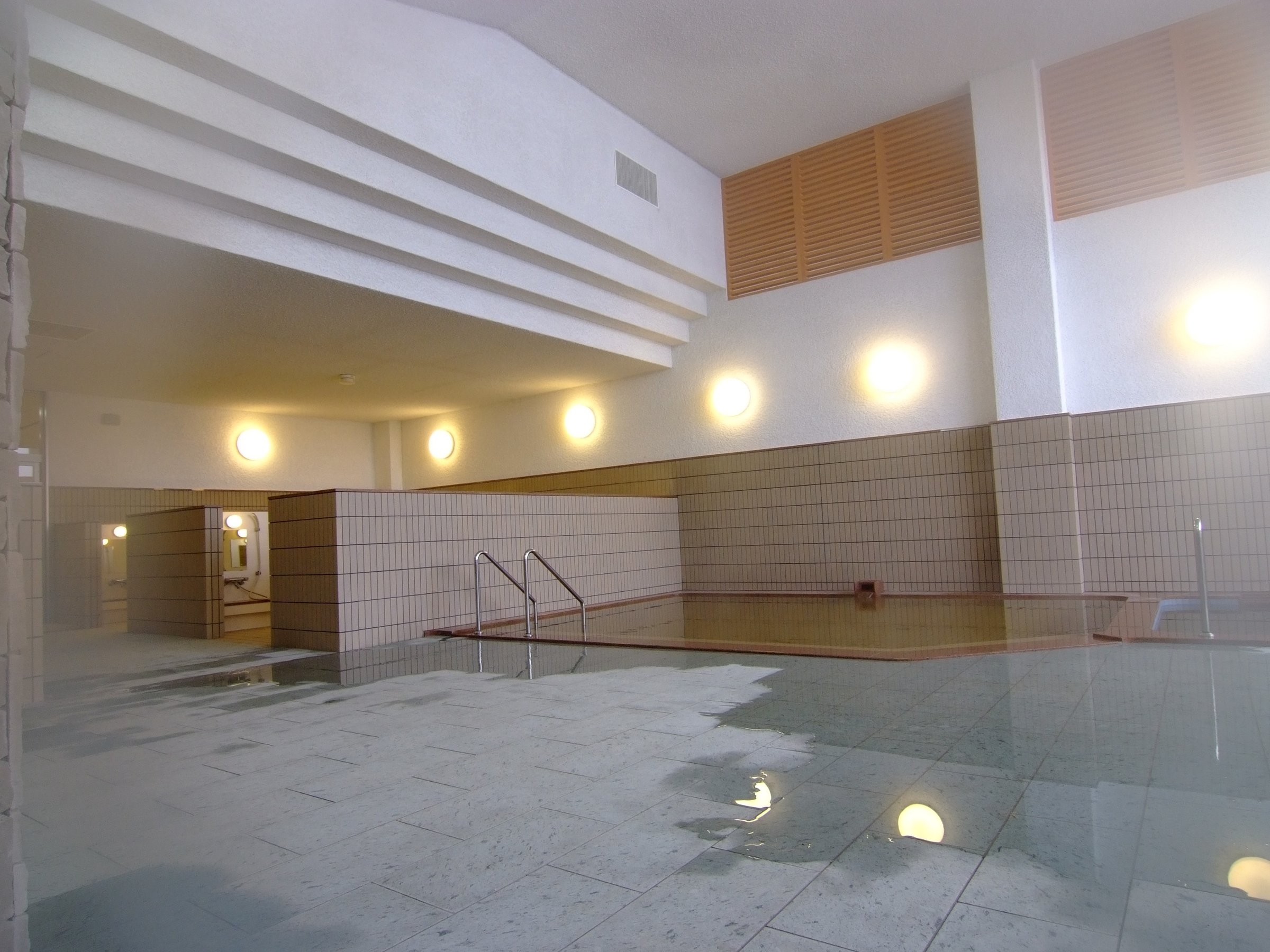 �����{�݁@�嗁��