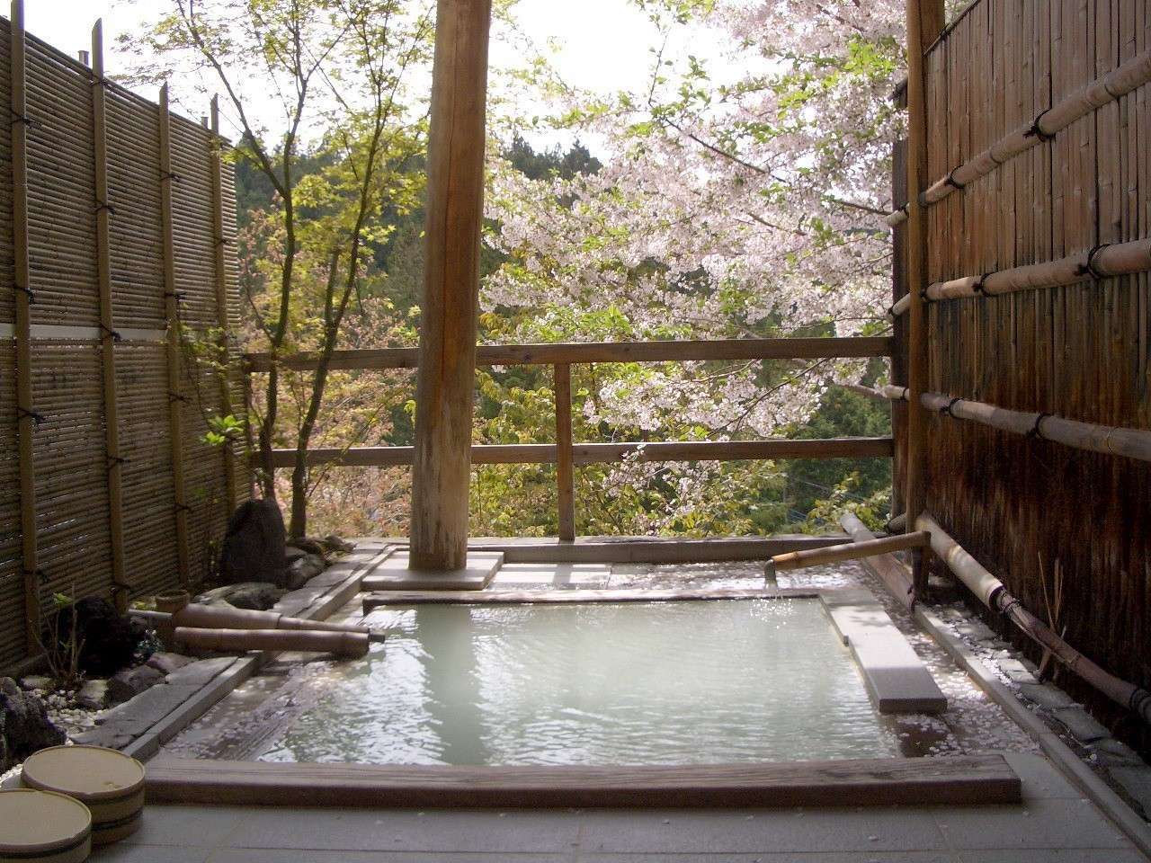 �t�̎��R�̎R���݂���l��߁A�ݐؘI�V���C�͈�Ӓ�����āA�󂢂Ă�Ή��x�ł������I�I