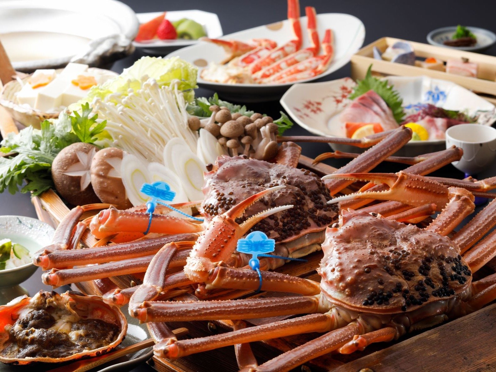 ���^�O�t���Ë��R���Ƀt���R�[�X��