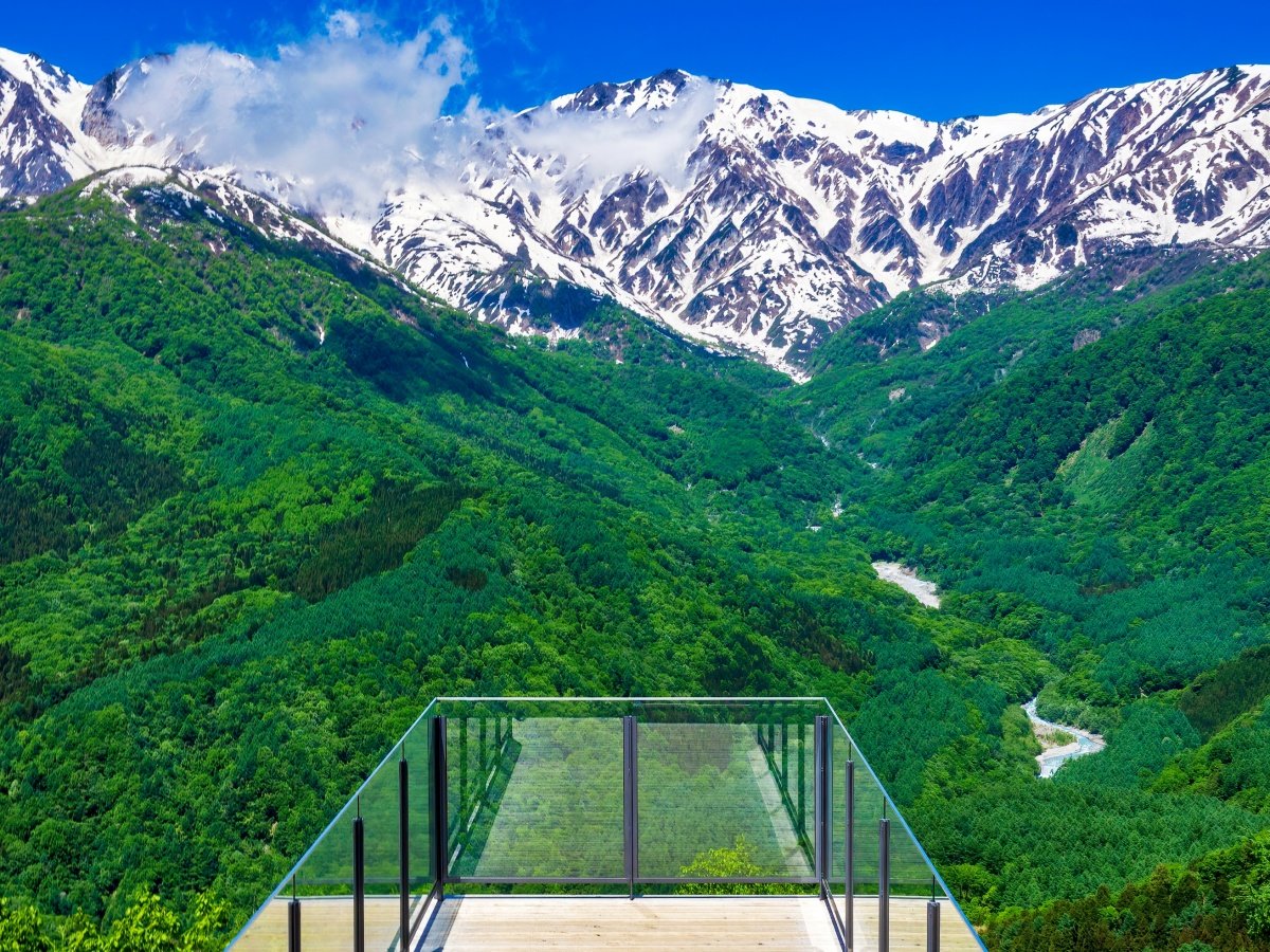 yĂ̔nx}Ee][gzقԂŖ14