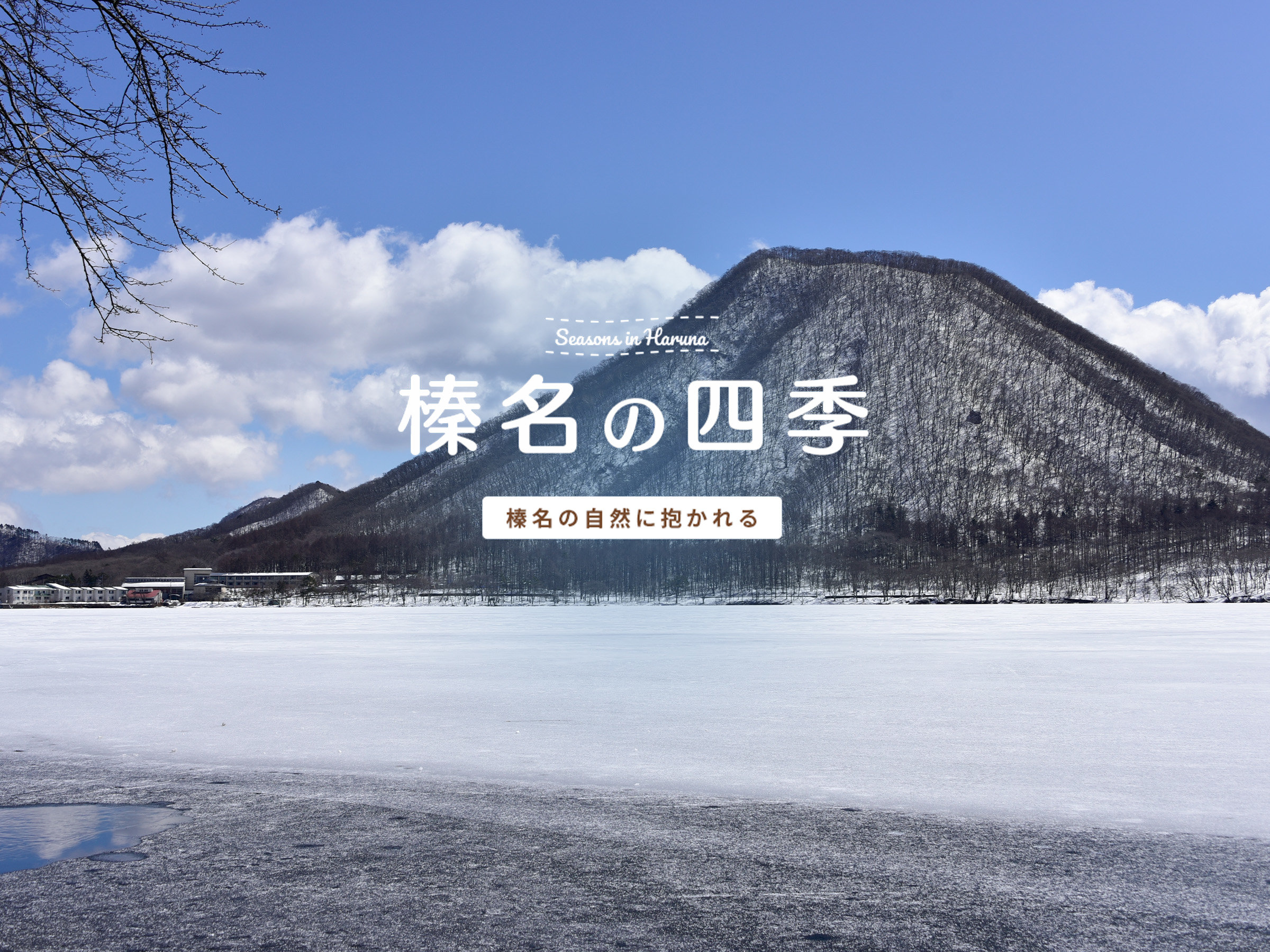 �L�x�ȓ��ʂ��ւ�ɏ�̓V�R����u�Y���Ή���v�Ɣ������\����f���o���Y���΂֑S�������C�N�r���[�I