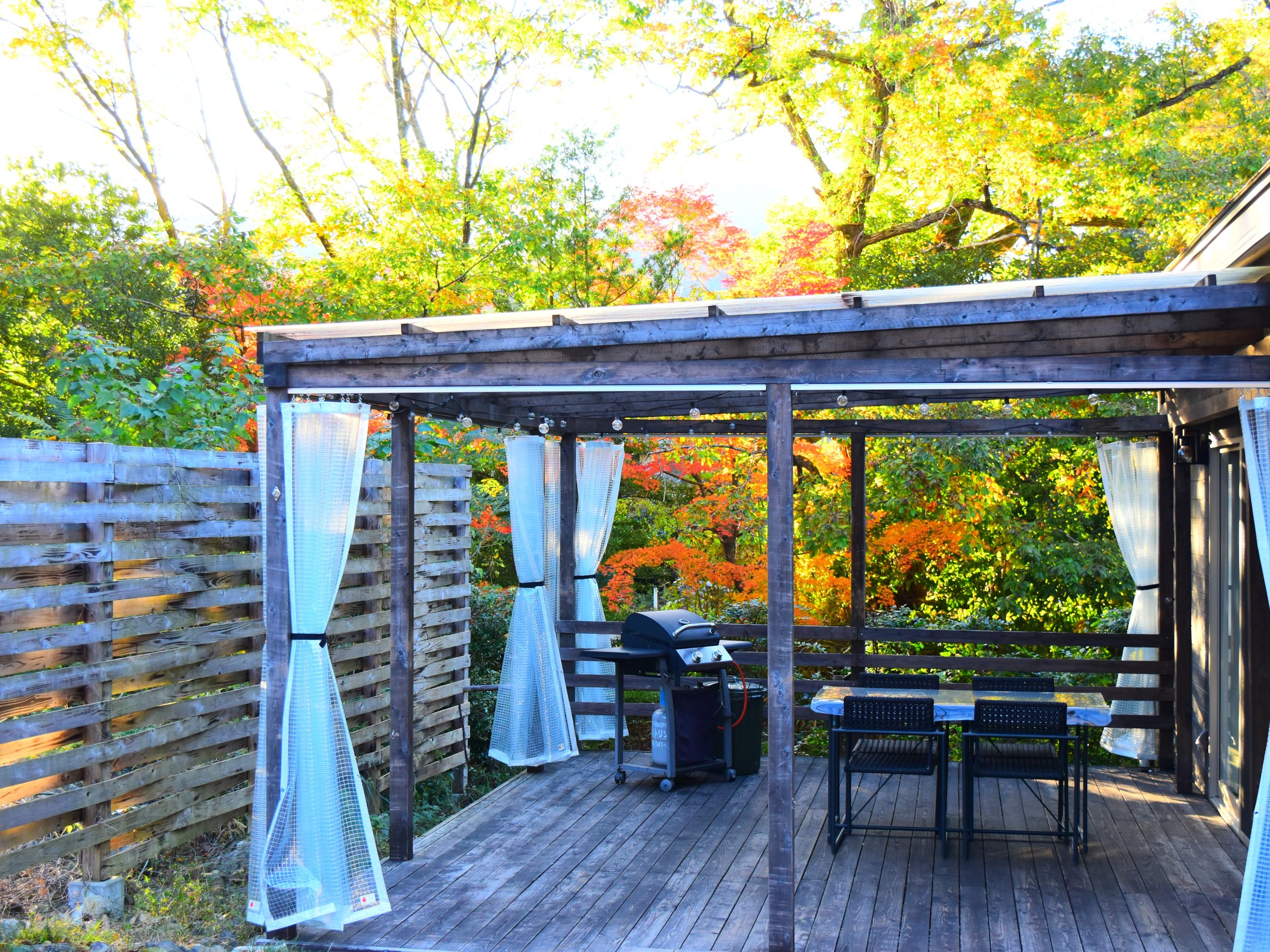 �L���r��M �E�b�h�f�b�L