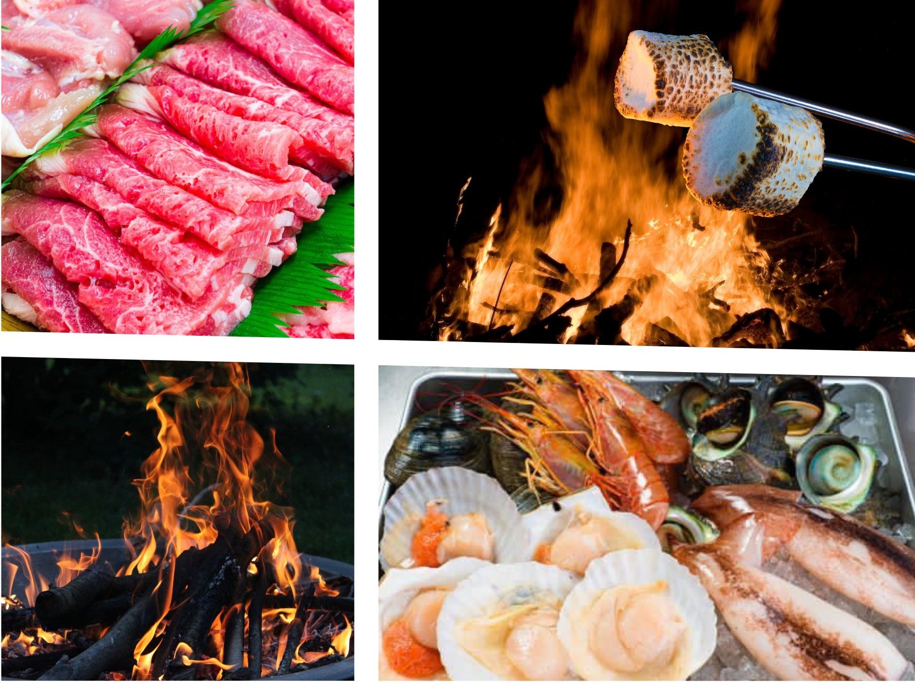 ����BBQ�ƕ����΂�����v������